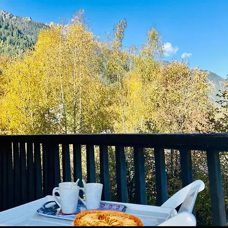 Comfort Nature And Exceptional Mont Blanc View