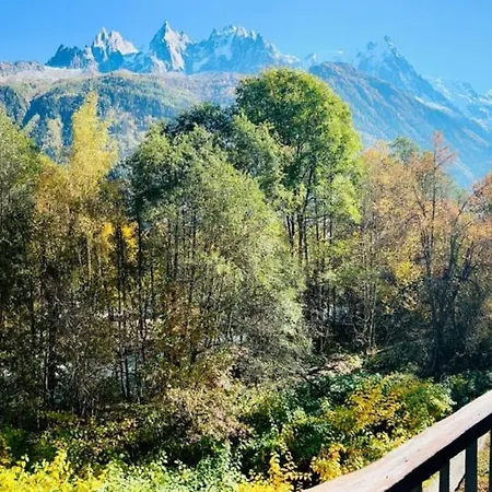 Comfort Nature And Exceptional Mont Blanc View Chamonix