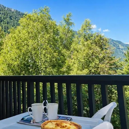 Comfort Nature And Exceptional Mont Blanc View アパート *