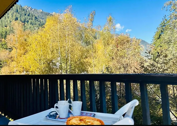 Comfort Nature And Exceptional Mont Blanc View