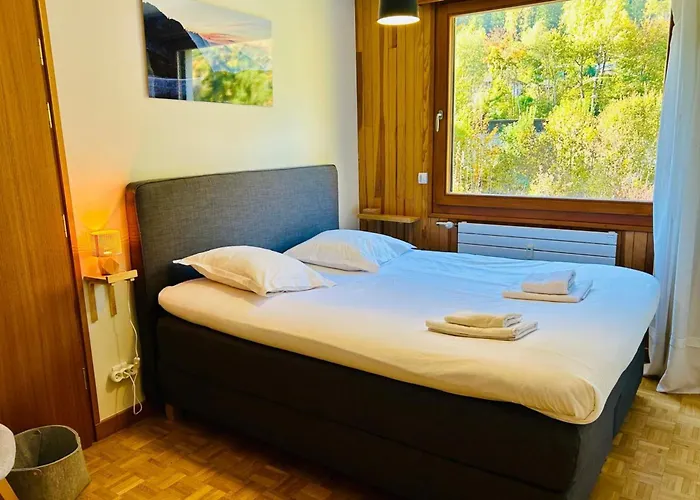 Comfort Nature And Exceptional Mont Blanc View 아파트